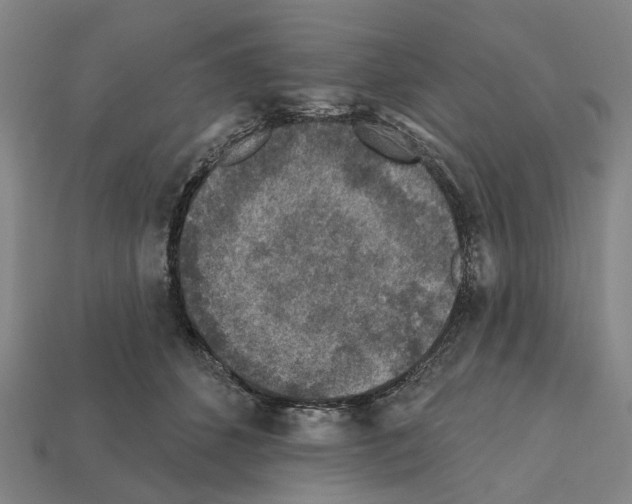 X0000112420512200909251519