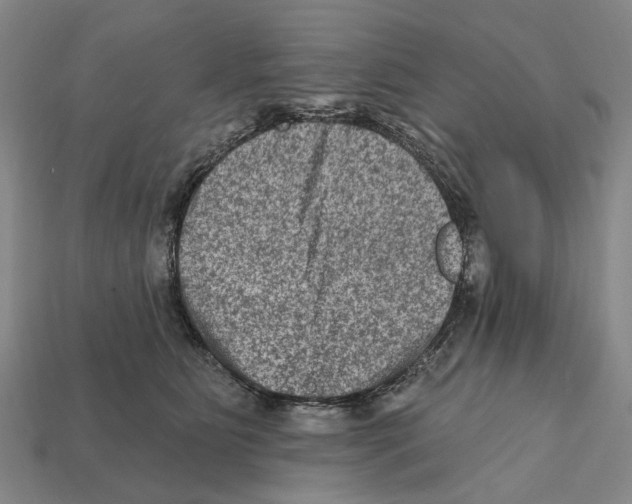 X0000112420515200909251519