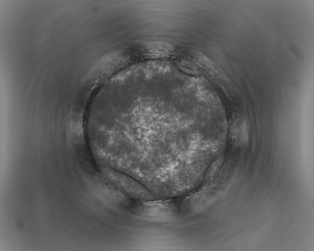 X0000112420516200909251519