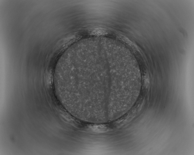 X0000112420517200909251519