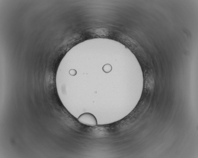 X0000112420518200909251519