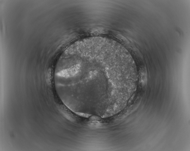 X0000112420519200909251519