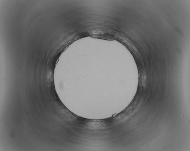 X0000112420521200909251519