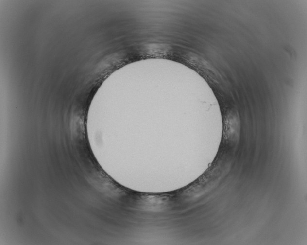 X0000112420522200909251519