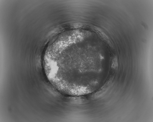 X0000112420524200909251519