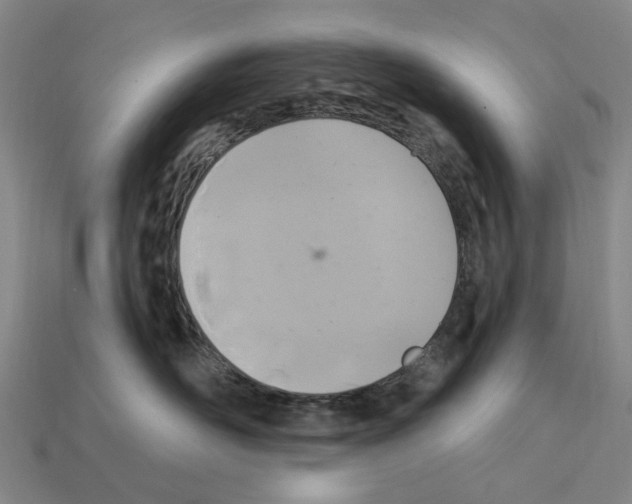 X0000112420526200909251519