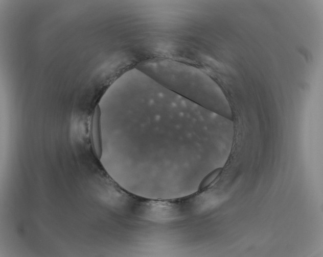 X0000112420528200909251519