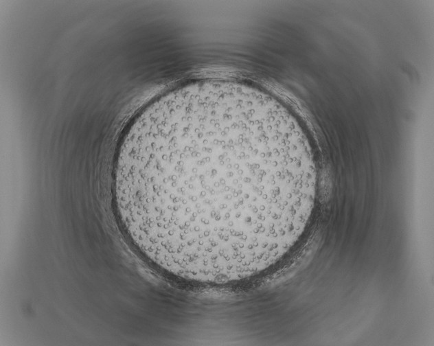 X0000112420529200909251518