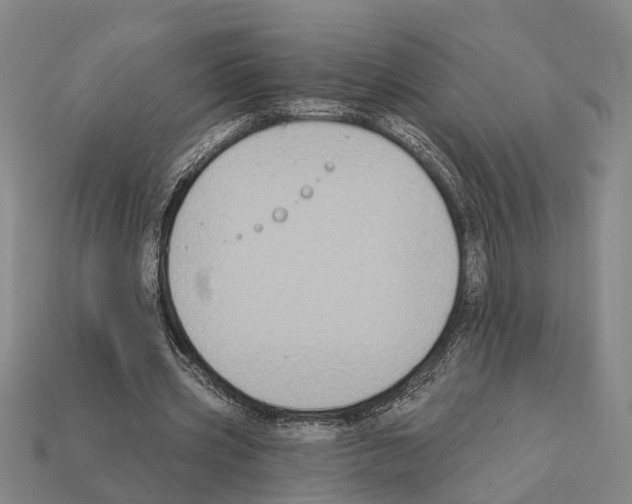 X0000112420533200909251518