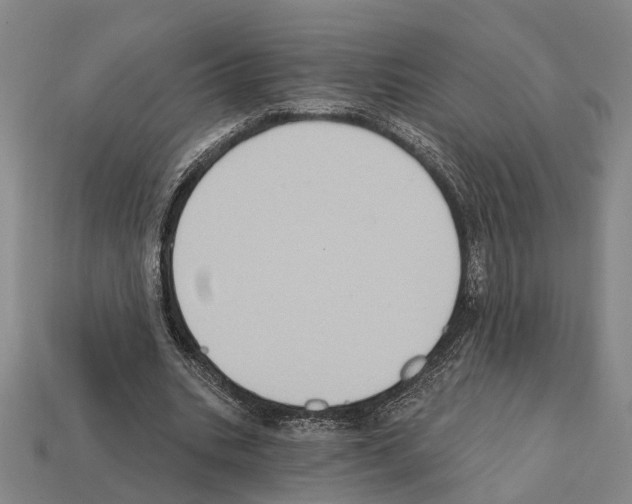 X0000112420535200909251518