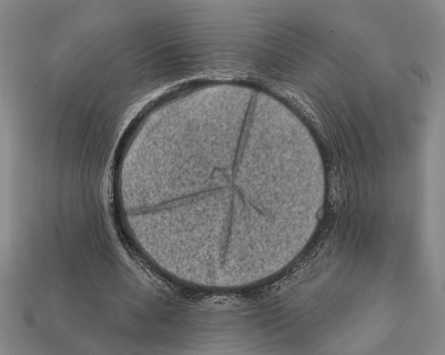 X0000112420536200909251518