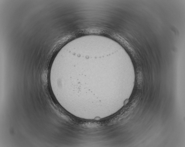 X0000112420537200909251518