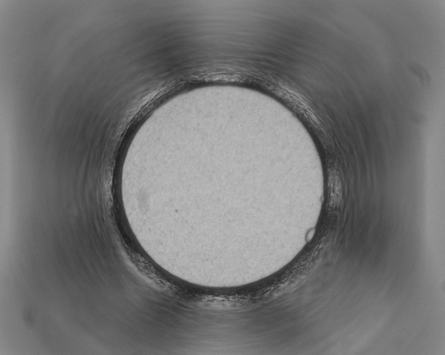 X0000112420538200909251518