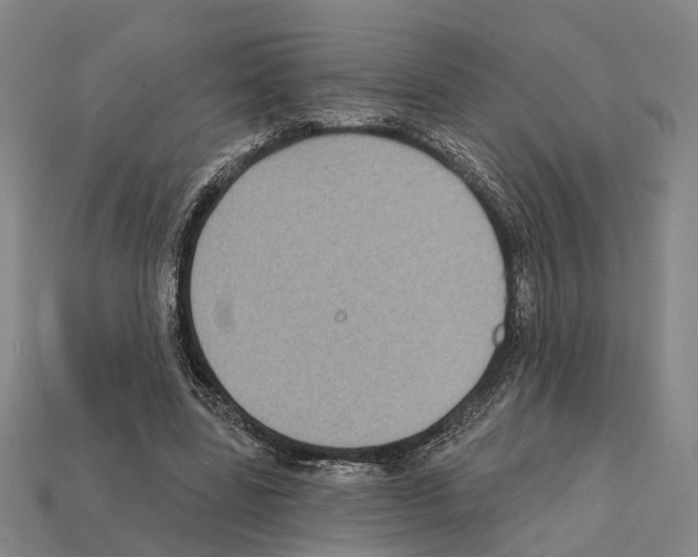 X0000112420539200909251518