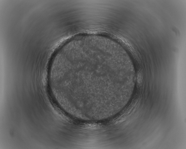 X0000112420540200909251518