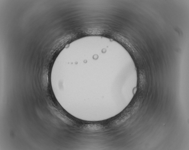 X0000112420541200909251518