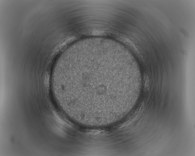 X0000112420542200909251518