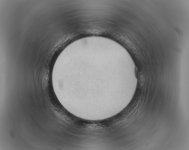 X0000112420544200909251518