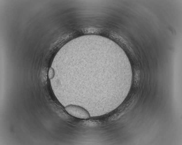 X0000112420545200909251518