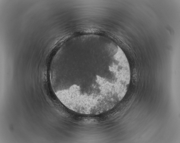 X0000112420547200909251518