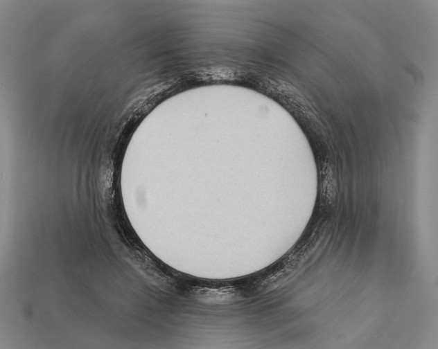 X0000112420548200909251518