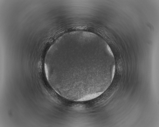 X0000112420551200909251518