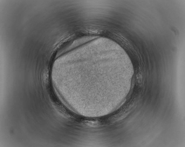 X0000112420552200909251518