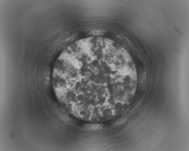 X0000112420553200909251518