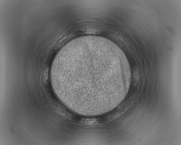 X0000112420554200909251518