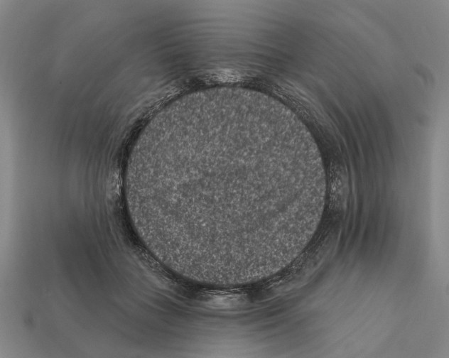 X0000112420555200909251518