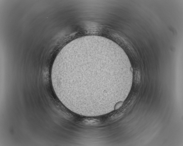 X0000112420557200909251518