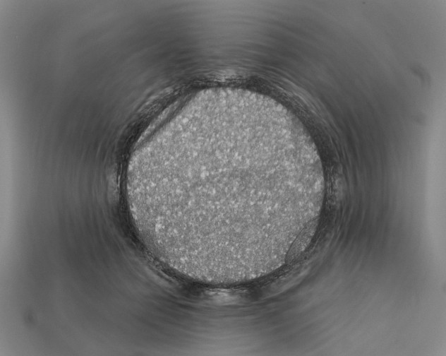 X0000112420558200909251518