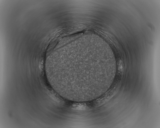 X0000112420559200909251518