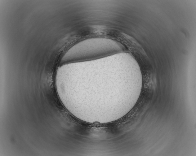 X0000112420560200909251518