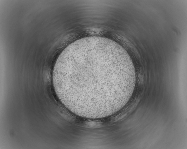 X0000112420561200909251518