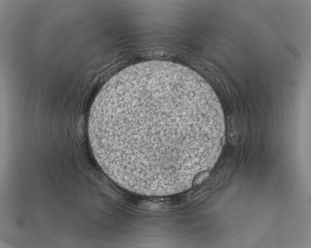 X0000112420563200909251518