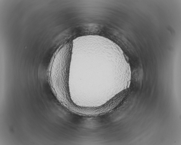 X0000112420564200909251518