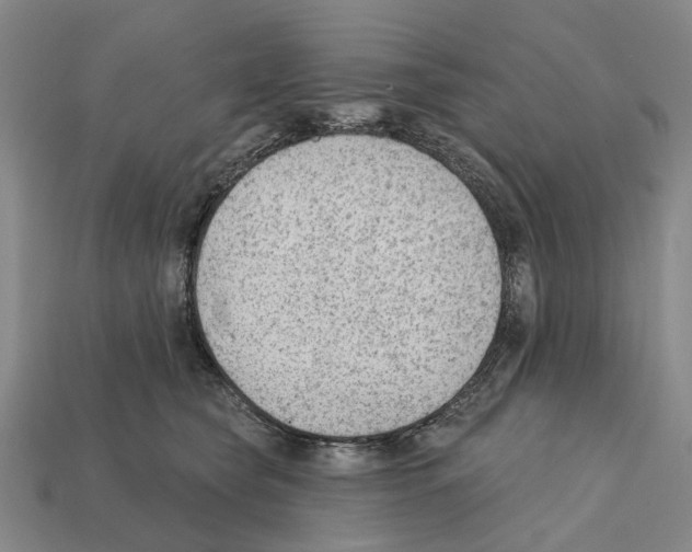 X0000112420565200909251518