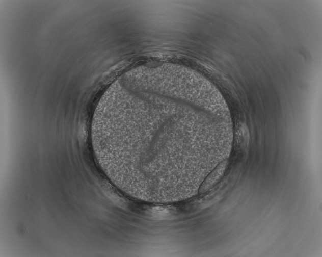 X0000112420566200909251518