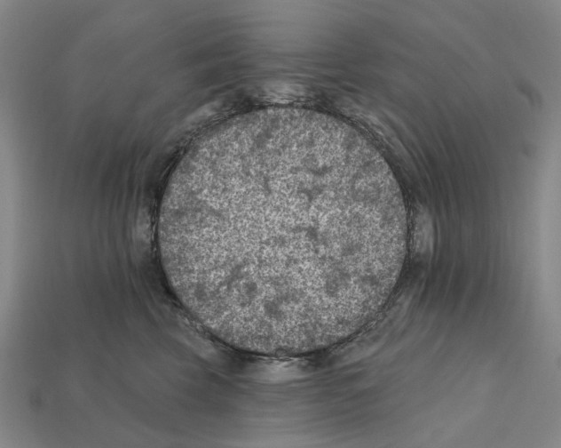 X0000112420569200909251519