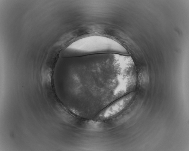 X0000112420570200909251519