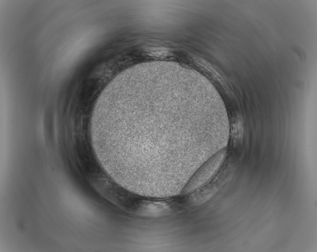 X0000112420572200909251519