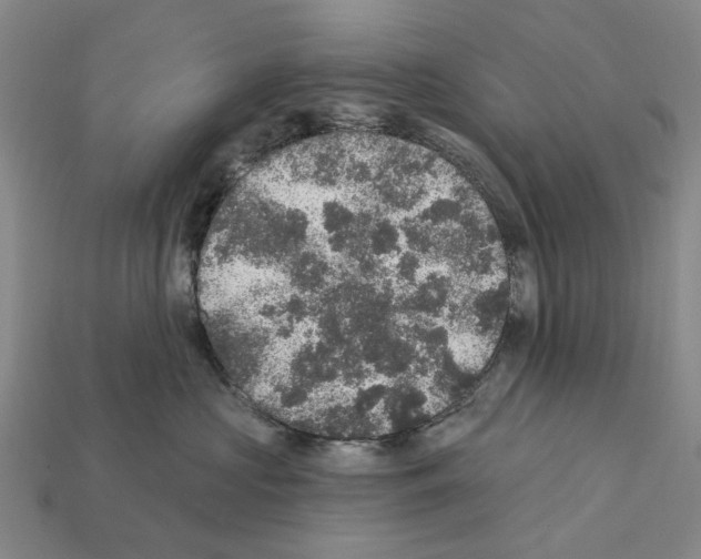 X0000112420573200909251519