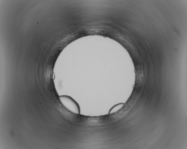 X0000112420574200909251519