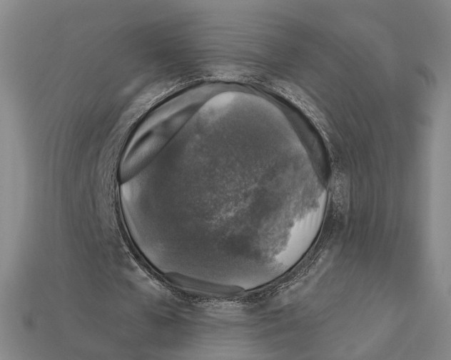 X0000112420577200909251518