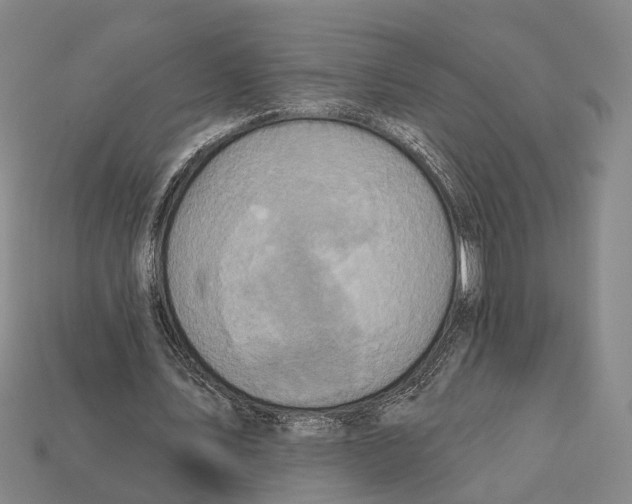 X0000112420579200909251518