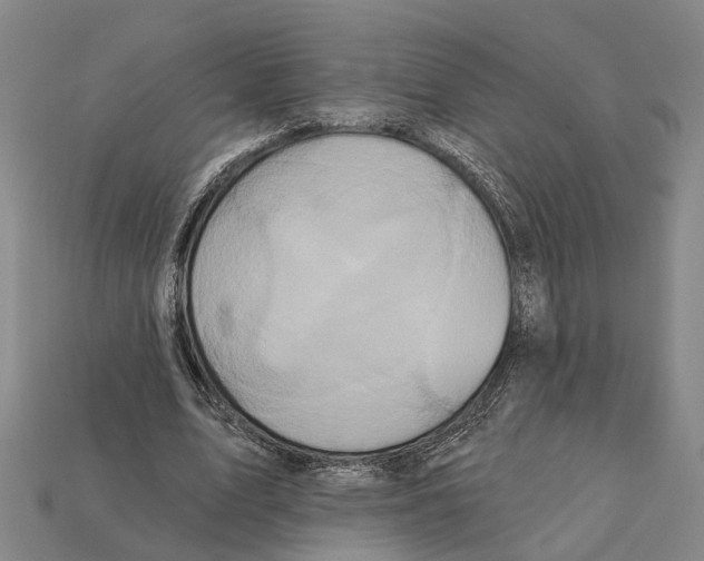 X0000112420583200909251518