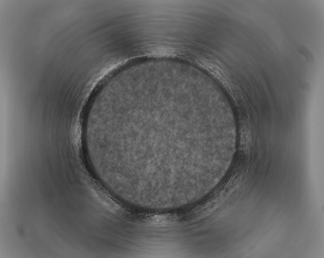 X0000112420584200909251518