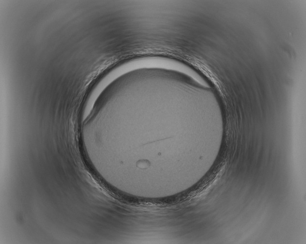 X0000112420585200909251518