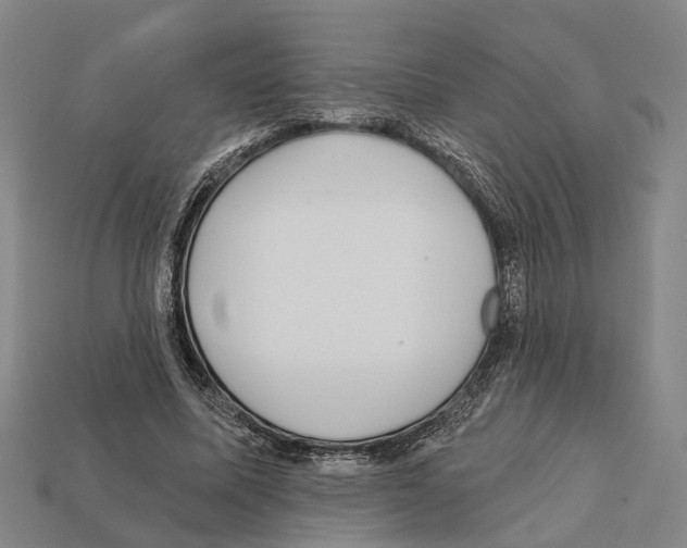 X0000112420587200909251518